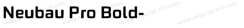 Neubau Pro Bold字体转换